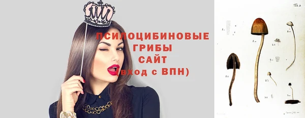 гашик Инсар