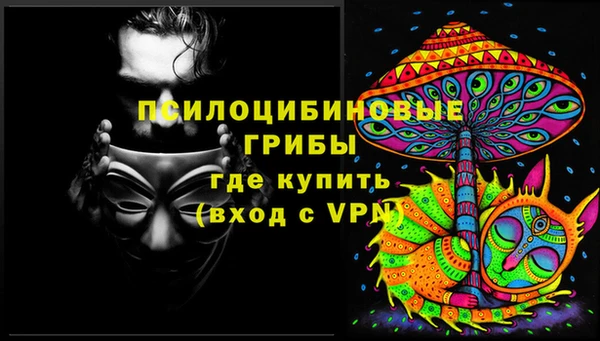 гашик Инсар