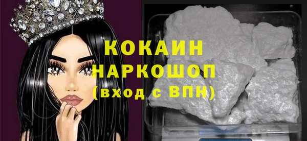 гашик Инсар