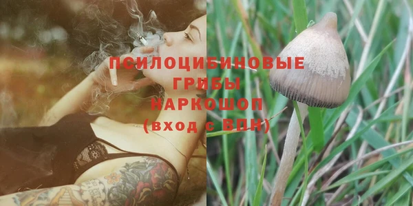 гашик Инсар